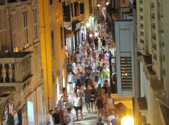 Sofia - Old Town Quiet Oasis With Free Parking 아파트